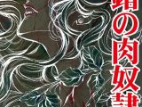 倒錯の肉奴●